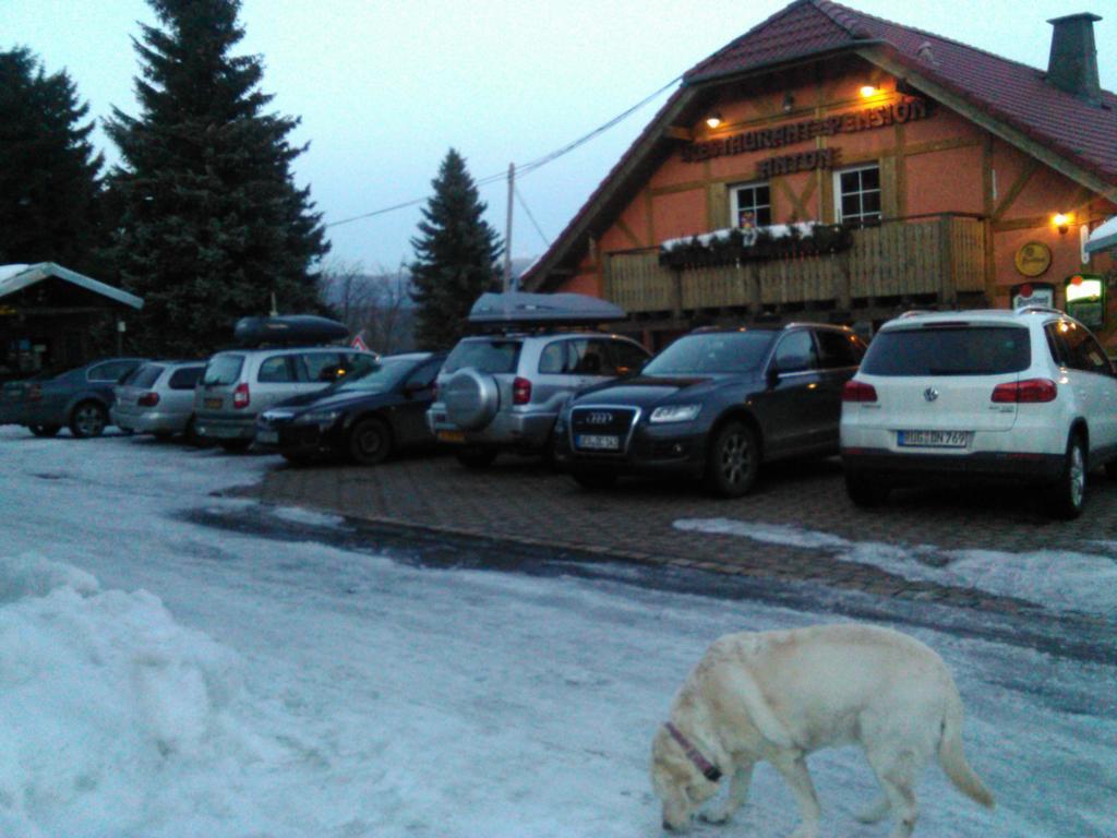 Restaurant Pension-Anton Jáchymov Zewnętrze zdjęcie