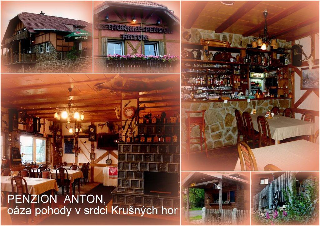 Restaurant Pension-Anton Jáchymov Zewnętrze zdjęcie